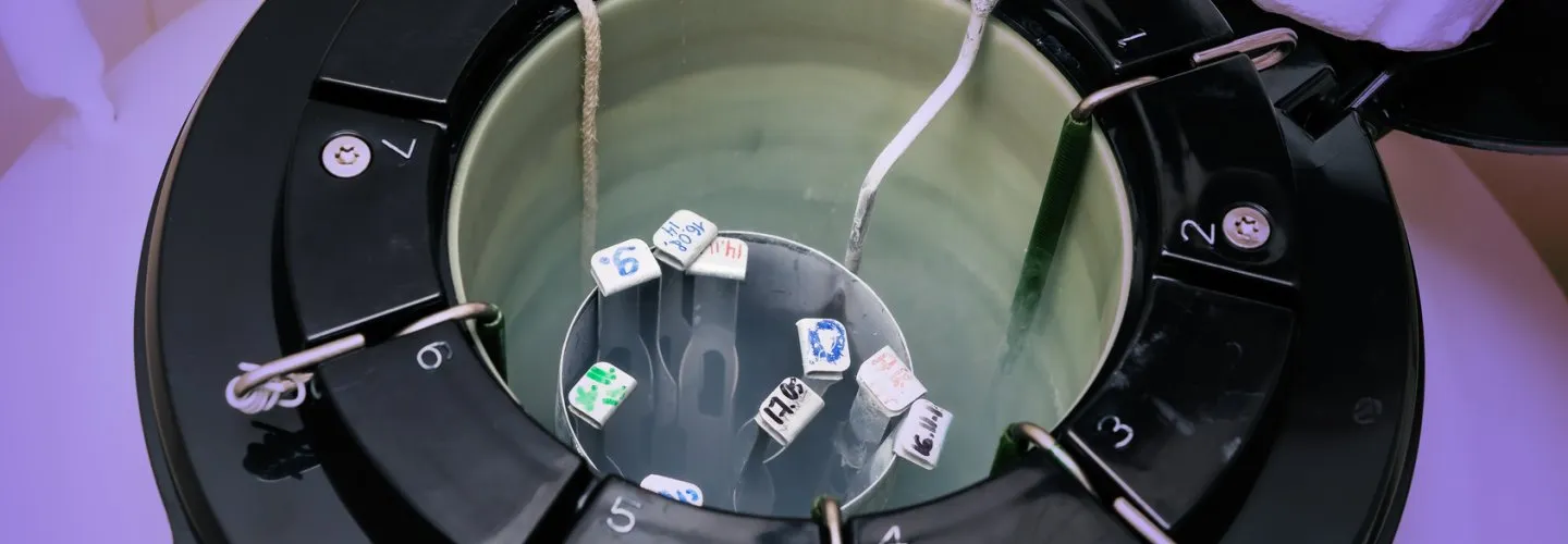 micro-TESE cerrahi sperm arama ameliyatı ve mikroskop altında inceleme