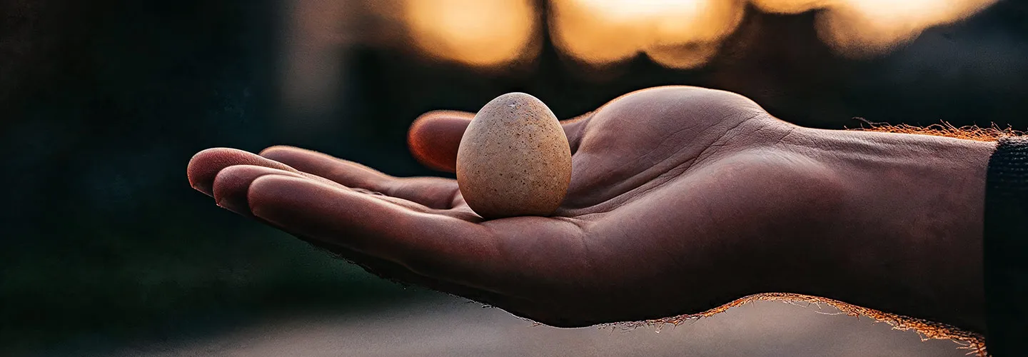 intrauterin inseminasyon IUI aşılama işlemi illüstrasyonu